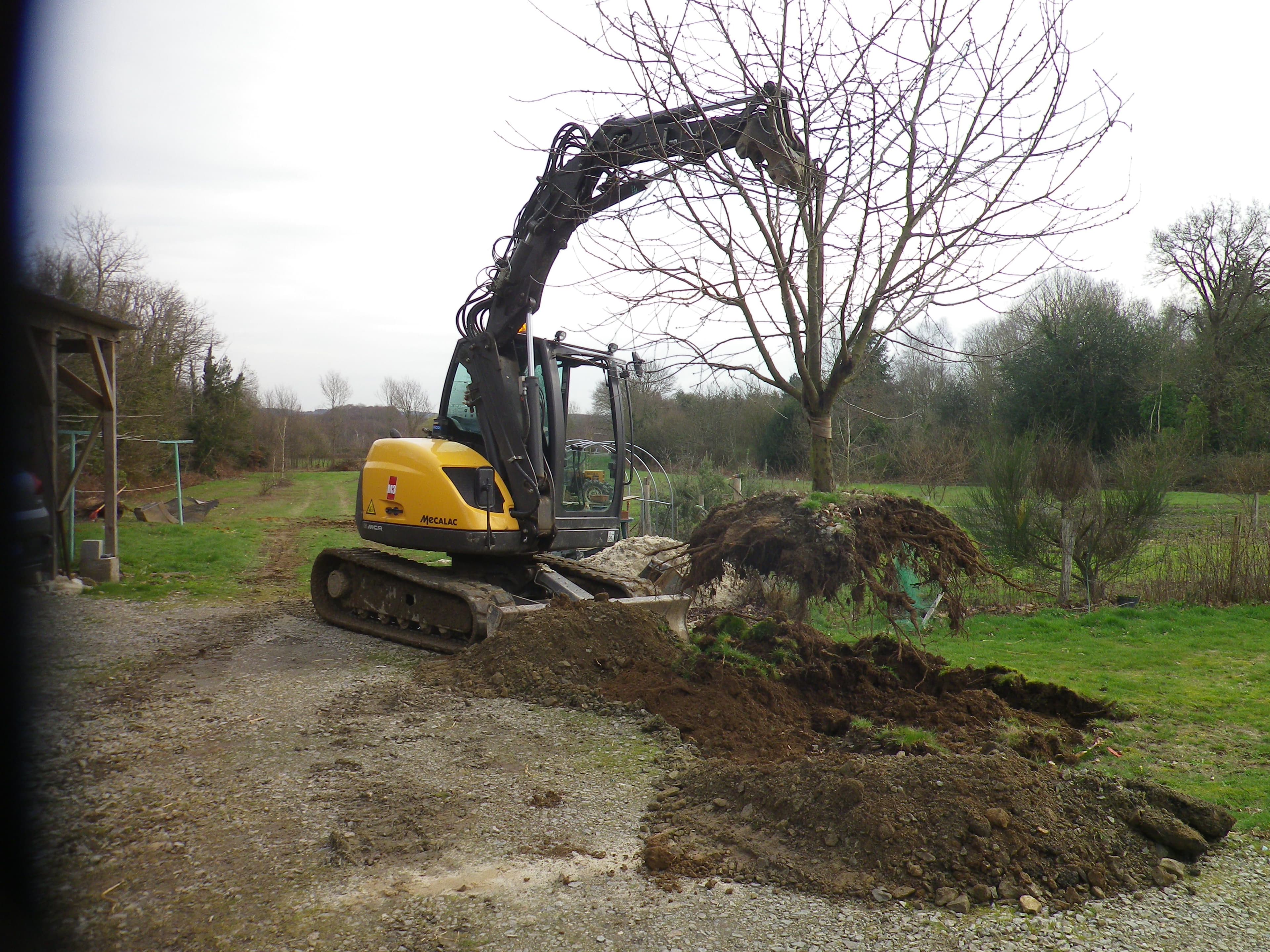 Arrachage d'arbre à Carquefou